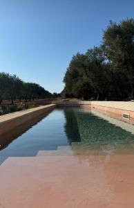 New Pool Villa in Ostuni