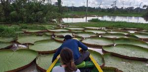 Allpayacu Adventures Lodge -Inclusive