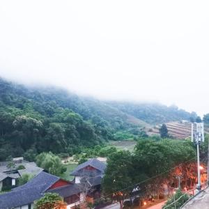 ม่อนหนาว ลานกางเต็นท์