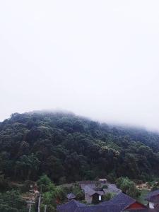 ม่อนหนาว ลานกางเต็นท์