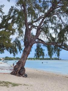 location bord de mer Albion ile Maurice