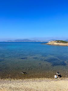 Studio Port de Hyeres Plage et Piscine