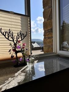 Ferienwohnung Erzgebirgsnest