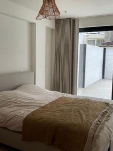 Zeewaaier Middelkerke