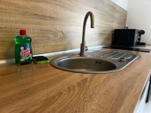 Grand appartement avec jardin - Centre ville