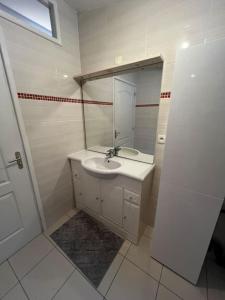 Grand appartement avec jardin - Centre ville