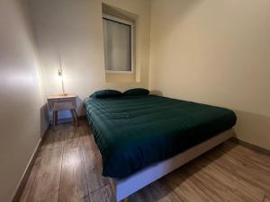 Grand appartement avec jardin - Centre ville