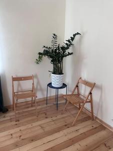 Baznicas street studio apartment