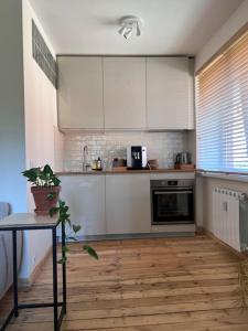 Baznicas street studio apartment