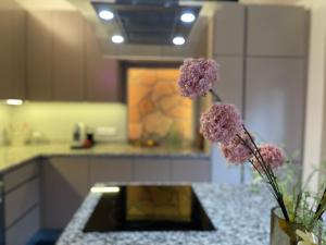 Renovated house in the center of Beausoleil