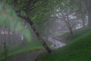 Haze and Kites Resort Munnar