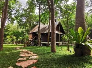 Hom Klin Paa หอมกลิ่นป่า - Ban Nong Hoi