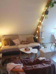 Appartements Le 105 - appart-sympa - T2 vue jardin et cave - Larmor-Plage : photos des chambres