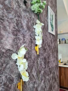 SweetHome Brinchang Pent House - Pasar Malam area