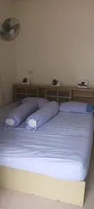 House in the garden - Ban Bung