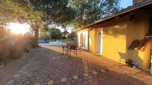 Sunny Holiday Home - Crnibek