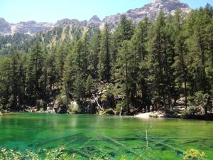 Chalets Chalet FLOCON Serre Chevalier cinema sauna jaccuzi, piscine ete : photos des chambres