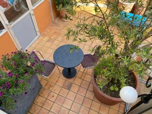 Chez Bonamy Le danichephe