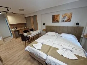 Hotel CENTRAL - Dunje