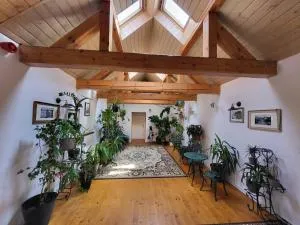 HoStel Cosmopolitan* - Нітра