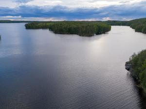 Metsäsydän mökki 1 Minttumaari