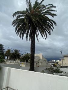 Mickys Coziness galore!