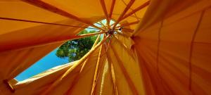 Tipi Immersion Nature