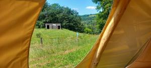 Tipi Immersion Nature