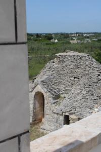 La Cummersa allombra dellUlivo