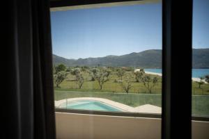 The Olive Grove Escape