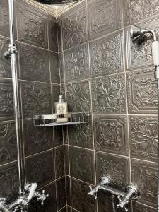 Regal House Anzio Manetti 16