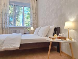 Однокімна квартира біля Каштанової Алеї у центрі Полтави Мережа AlexApartments Документи для відряджень Безконтатне заселення 24-7