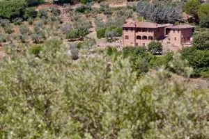 La Chiusa dei Monaci - Petroio