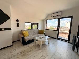 Calypso Central Studio