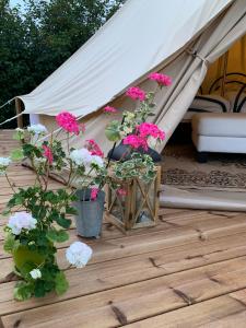 Glamping Ponsa