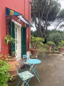 Il Piccolino - Avane