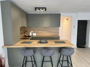 Central suites - Dudaşu