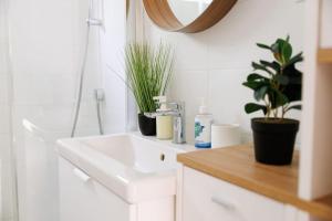 Sophie Apartman Szeged Belvárosában