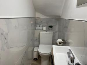 Be Room Oasis Harmony