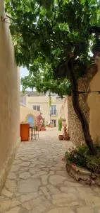 El Jardin Secreto - El Sauco