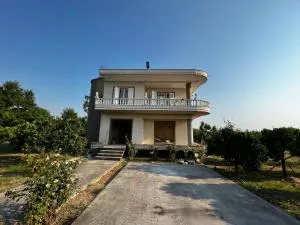 Marku Guest House - Savër