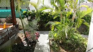 Colibri Beach Villas