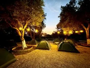 Ivy Sol Camping - Vanja