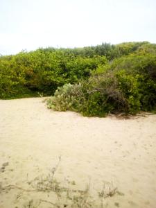 Black Forest Beach Resort