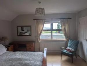 Clare House Bed & Breakfast - 巴林托伊