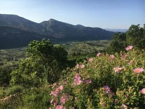 NatureLove - Dorgali