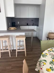 Amaryllis aan Zee - De Panne