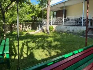 Zindisi Forest Haven Retreat in Surami - Surami