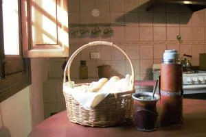 Los buenos amigos de Felipe Sambucetti - Gaynor Diego