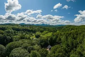 Getaway at 4214 - Castleton